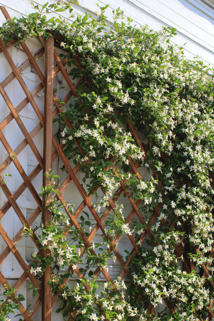 front yard landscaping ideas