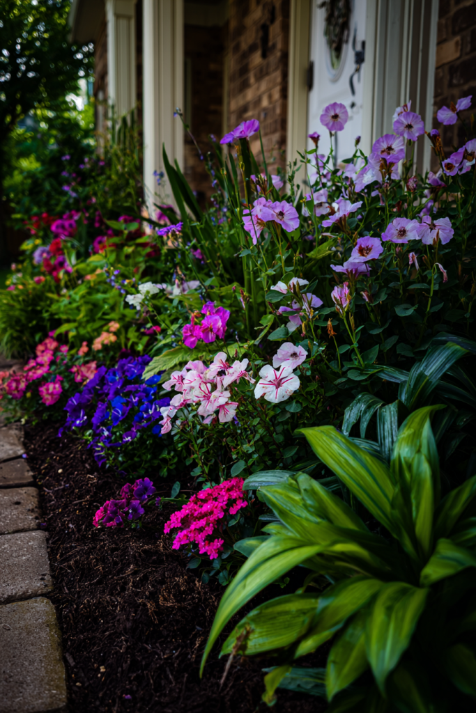 front yard landscaping ideas