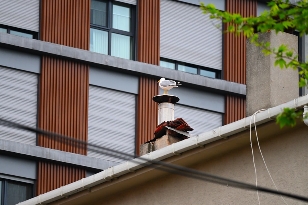 Aged copper bird feeder with verdigris patina hanging among flowers