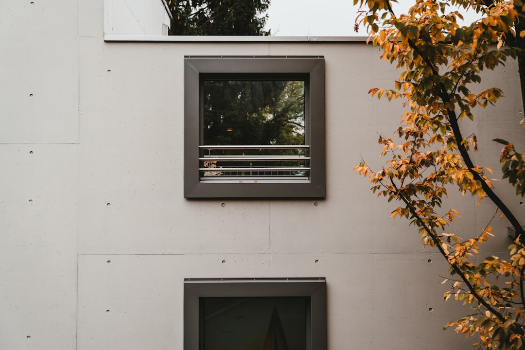 Bold red decorative bird feeder mounted on gray house siding