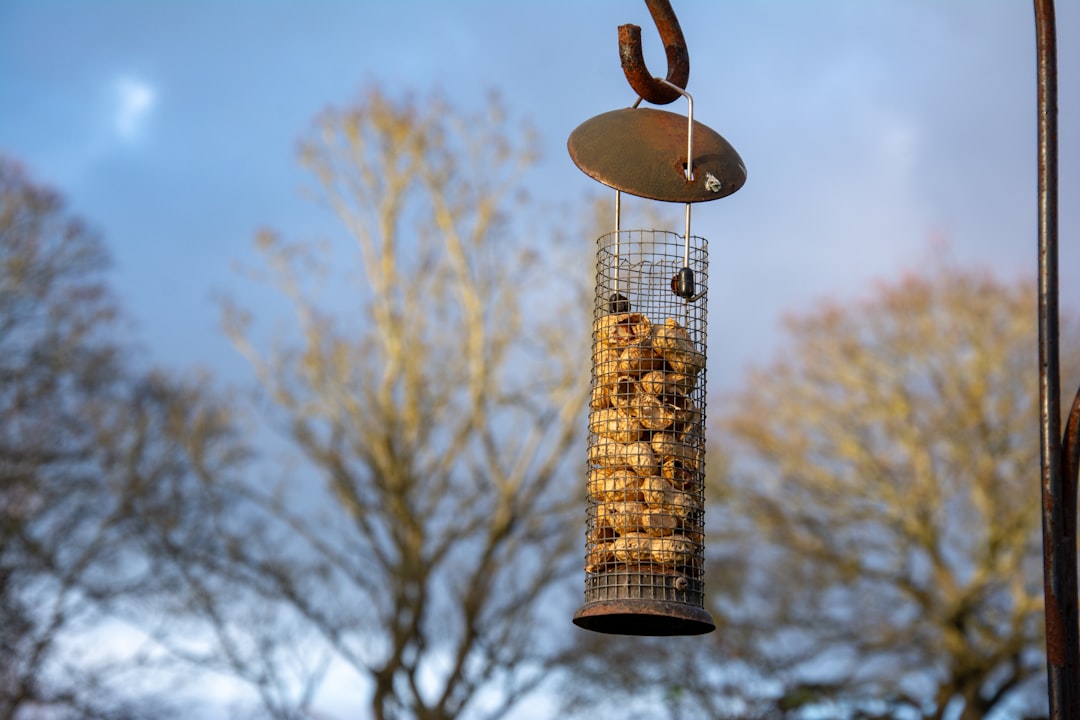 Multiple colorful finches feeding on a tube-style bird feeder in a garden setting