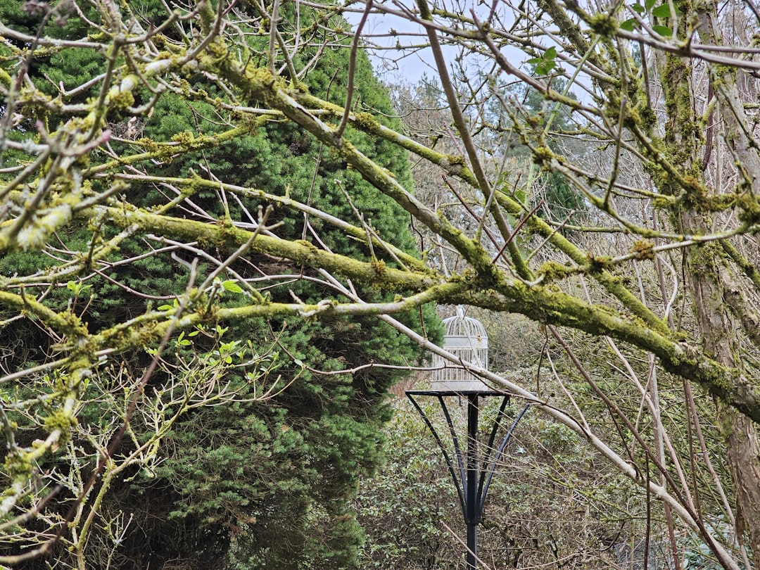 Tall metal bird feeder pole with dome baffle in landscaped garden