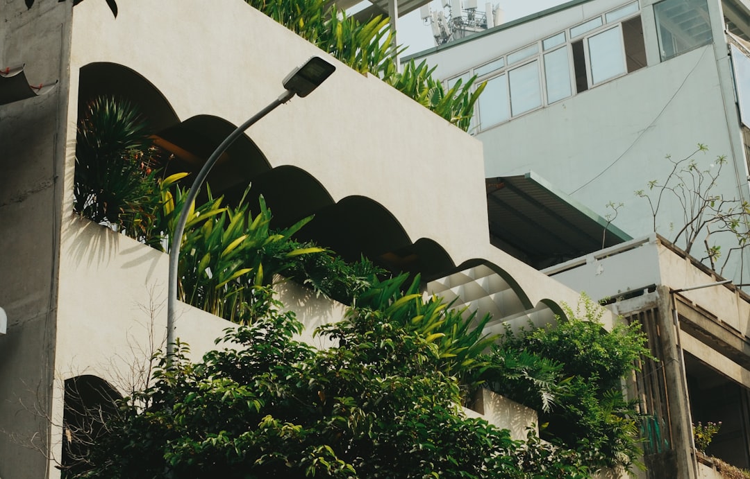 Sleek black metal squirrel-proof bird feeder in minimalist contemporary garden